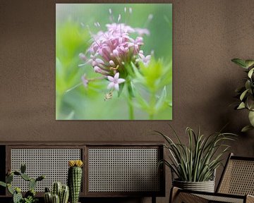 Pink flower - in ambient green by Marly De Kok
