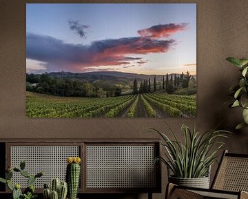 Zonsondergang over de wijngaarden bij San Gimignano van Denis Feiner