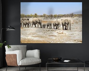 Elephant group in Namibia by Achim Prill
