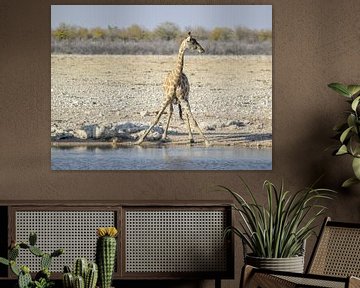 Giraffe in Namibië van Achim Prill