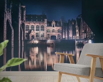 Night shot of the medieval houses near the Castle of the Counts in the city of Ghent by Daan Duvillier | Dsquared Photography