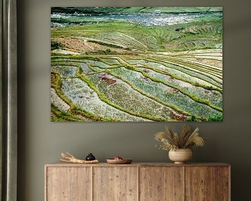 Reisfelder von Sa Pa von Sebastiaan Hamming