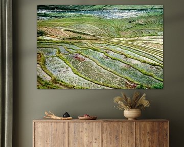 Rice fields of Sa Pa by Sebastiaan Hamming