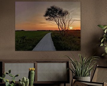 Schiermonnikoog - Kooiweg met eenzame berk van Schiermonnikoog fotografie