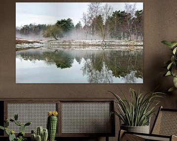 Nebliger Morgen am Wasser, Boswachterij Dorst, Niederlande von Sebastian Rollé - travel, nature & landscape photography