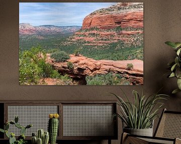 Uitzicht op Devil's Bridge bij Sedona in Amerika van Linda Schouw