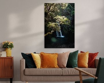 Op pad naar de waterval I | Een reis over Sao Miguel, de Azoren van Roos Maryne - Natuur fotografie