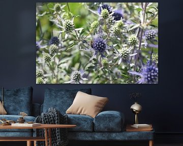 Bijtje op paarse distels art print - zomer botanisch reisfotografie