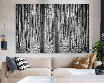 Berkenbomen in zwart/wit van Pierre Verhoeven