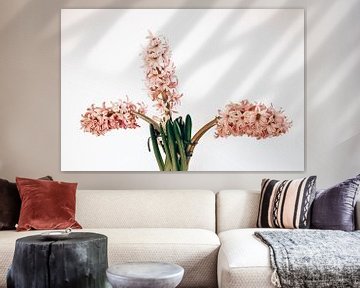 drie roze hyacinten van Michael Schulz-Dostal