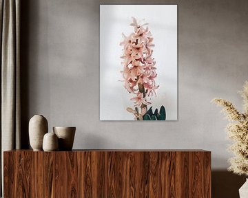 pink hyacinth by Michael Schulz-Dostal