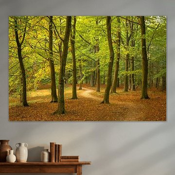 Een prachtige dag in het bos