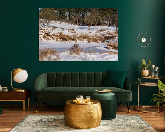 Raumvorschau