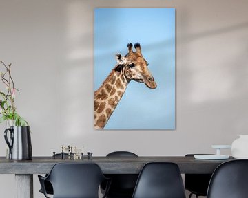 Giraffe van Nico Hochberger