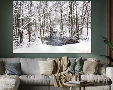 Winters bos met beekje van Guido Rooseleer