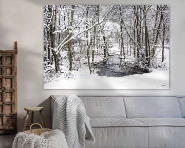 Winters bos met beekje van Guido Rooseleer