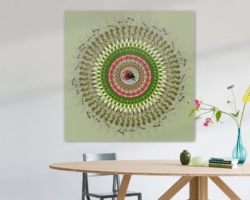 mandala uit de natuur van Klaartje Majoor