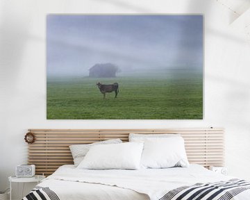 Kuh auf der Weide, Allgäu von Walter G. Allgöwer