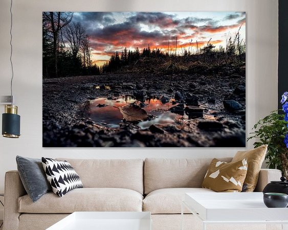 Aperçu de la chambre