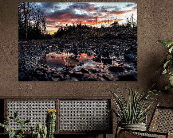 Aperçu de la chambre