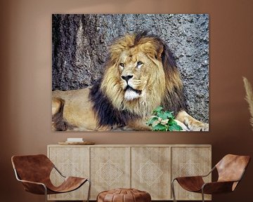 Löwe, König der Tiere von Eduard Lamping