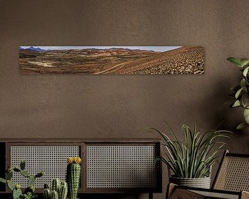 altiplano by Stefan Havadi-Nagy