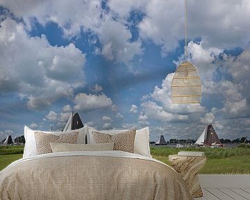 Skutsje Silen 2, De Veenhoop, Friesland by Rene van der Meer