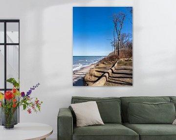 Ghost forest on the Baltic coast near Nienhagen sur Rico Ködder