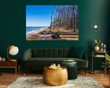 Ghost forest on the Baltic coast near Nienhagen by Rico Ködder