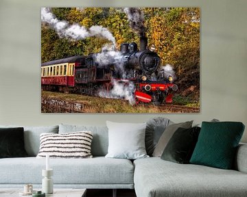 Steam Locomotive 1040 by Rob Boon