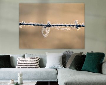 Barbed wire with ice crystals by Marcel Derweduwen