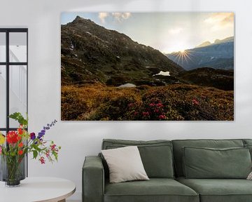 Alpine sunset with alpine roses and mountain lakes by Pascal Sigrist - Landscape Photography