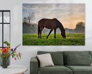Fotogeniek paard in het weiland van Bart Verdijk