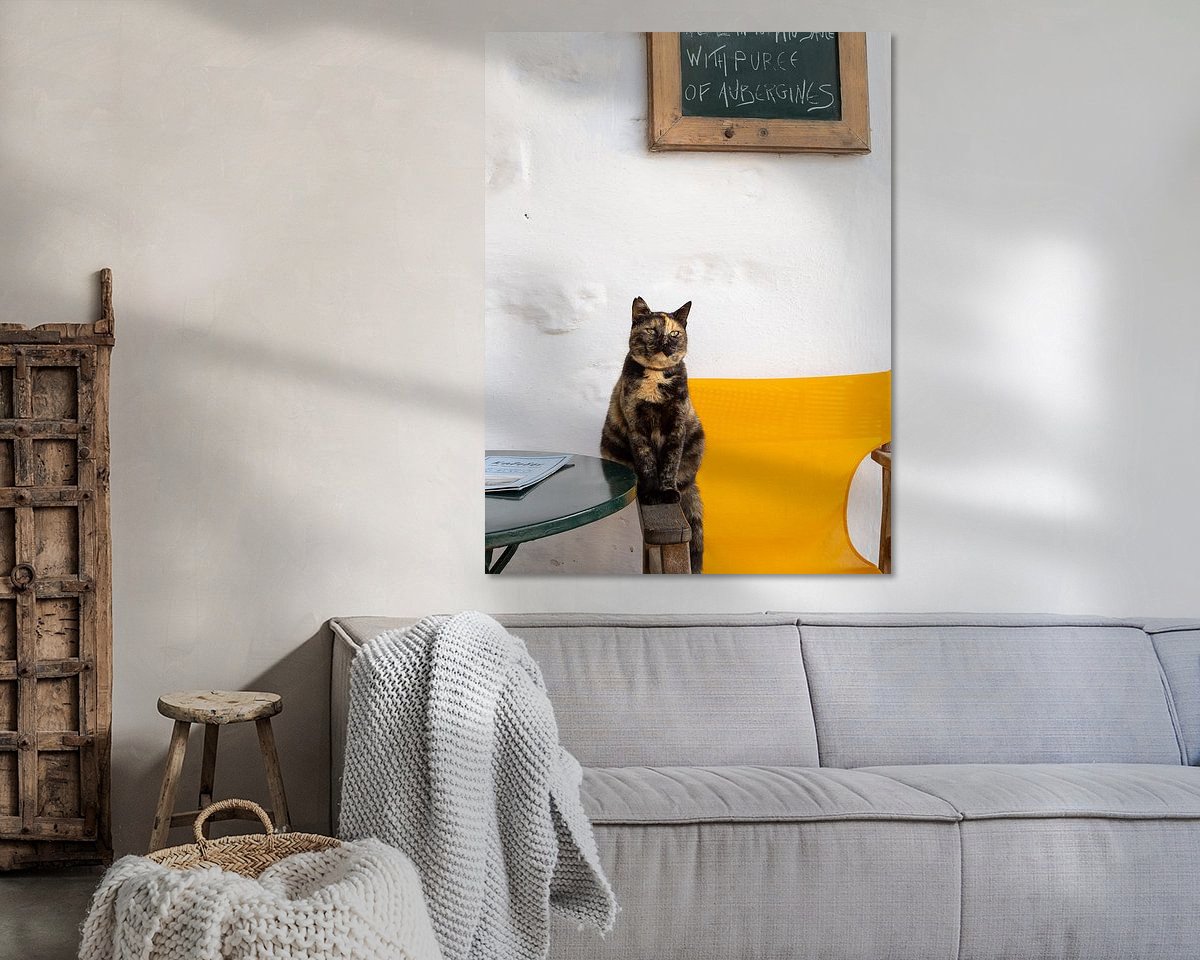 Aperçu de la chambre