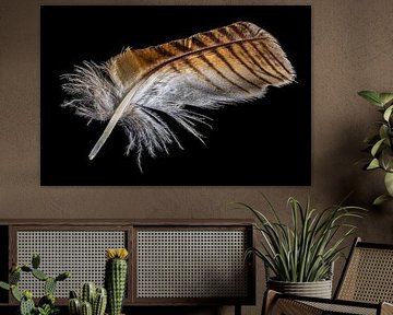 Plume d'aigle et de hibou sur Hans-Jürgen Janda