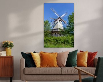 Moulin à mariage, moulin à vent néerlandais, moulin à vent, route des moulins de Westphalie, Tonnenh