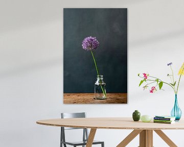 Foto | Allium | Zierzwiebel | lila Blume in Vase | botanisch | Stillleben von Jenneke Boeijink