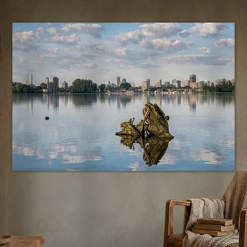 Kralingse plas with Rotterdam by Prachtig Rotterdam