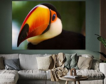 Toucans by Henk Egbertzen