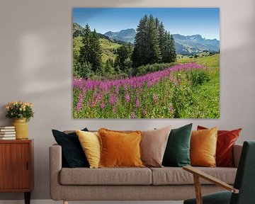 Col de Bretaye, Villars-sur-Ollon, Canton Vaud, Switzerland by Rene van der Meer