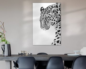 Blik van een luipaard die vooruit in een semi-profile zwart-witfoto loopt, witte achtergrond van Michael Semenov
