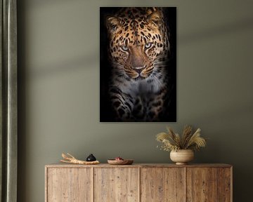 Het machtige luipaard gaat recht naar u kijken verticale samenstelling, Zwarte achtergrond van Michael Semenov
