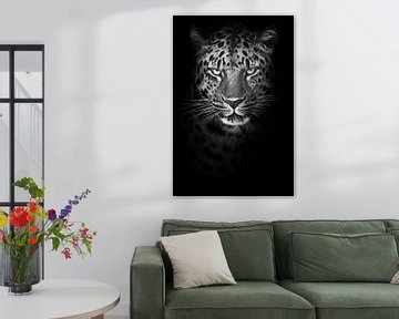 Ernstig minimalistisch portret van een besnorde koude luipaard die streng kijkt uit de nacht, zwart-