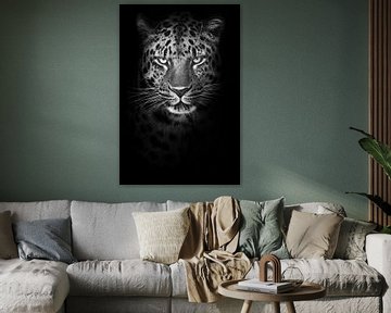 Strenges minimalistisches Porträt eines schnauzbärtigen kalten Leoparden, der streng aus der Nacht s von Michael Semenov