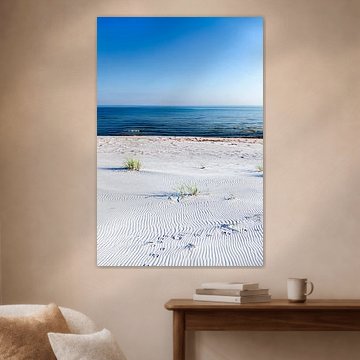 Eenzaam strand aan de Oostzeekust