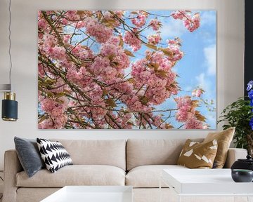 Flowering Prunus Serrulata (Japanese Cherry ) by Mieneke Andeweg-van Rijn