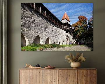 Tour Maid, Tour de la muraille de la ville, Musée, Tallinn, Estonie, Europe