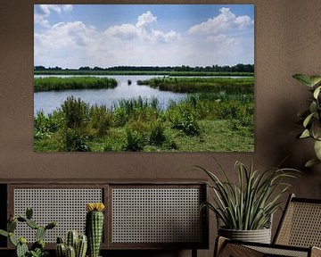 Landschap met moerassen in de Weerribben bij Giethoorn van Henk Vrieselaar