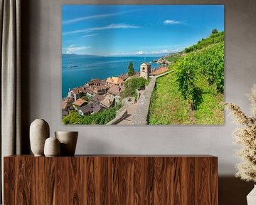 Wijngaarden aan het meer van Genève, St-Saphorin, Canton Vaud, Zwitserland van Rene van der Meer