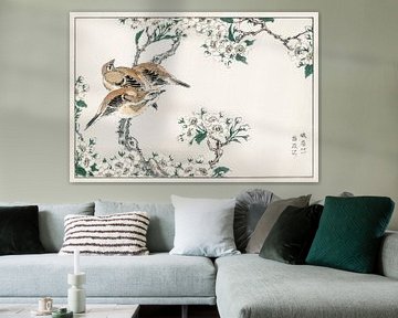 Japanese Meadow Bunting and Pear Flower illustration by Numata Kashu by Studio POPPY